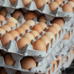 Telur Seperempat (250 gram)